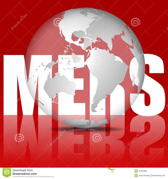 Правительство Южной Кореи проинфомировало дипкорпус о ситуации с MERS - ảnh 1